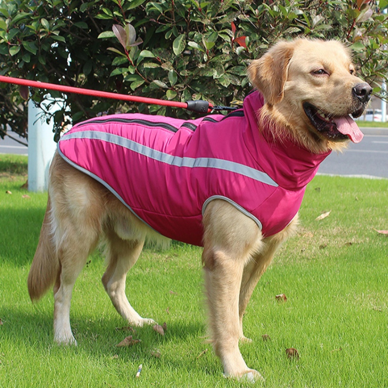 Amazon Top eladó személyre szabott kutya kábelköteg kutya ruházat fényvisszaverő lélegzet közepes ésnagy kutyák számára