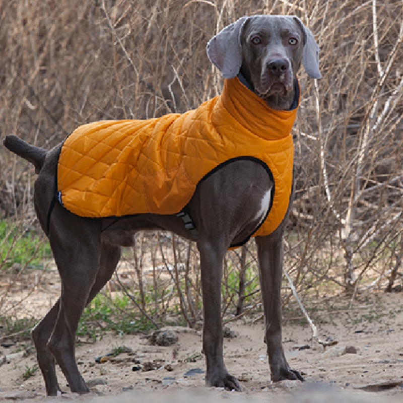 Amazon Hot Sale Új kisállat ruhák kutya ruhák Őszi és téli sűrített rugalmas pulóver Pet pulóver